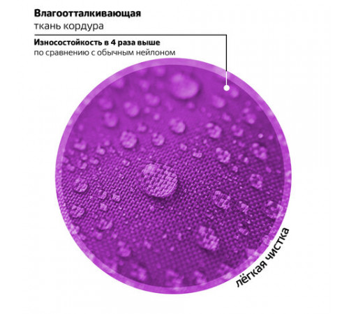 Ранец BRAUBERG QUADRO, 3 отделения, с брелоком, 