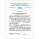 Ранец BRAUBERG SHINY, 2 отделения, с брелоком, 