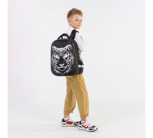 Ранец BRAUBERG SHINY, 2 отделения, с брелоком, 