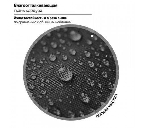Ранец BRAUBERG SHINY, 2 отделения, с брелоком, 