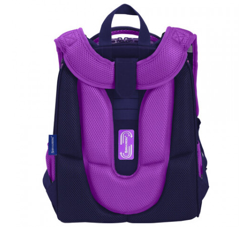 Ранец BRAUBERG PREMIUM, 2 отделения, с брелоком, 