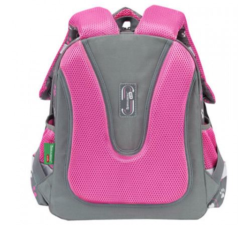 Ранец BRAUBERG KIDS STANDARD, 2 отделения, 