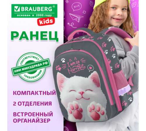 Ранец BRAUBERG KIDS STANDARD, 2 отделения, 