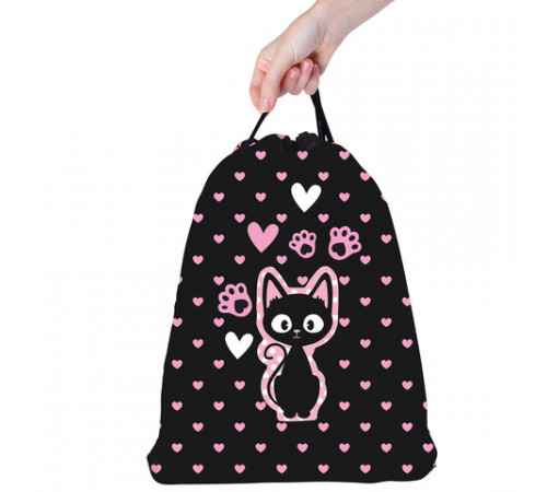 Мешок для обуви BRAUBERG KIDS, с петлей, 42х34 см, 