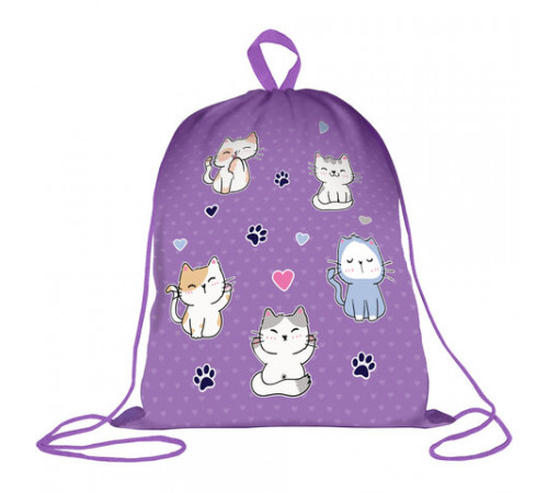 Мешок для обуви BRAUBERG KIDS, с петлей, 42х34 см, 