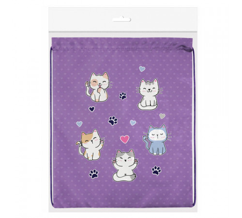 Мешок для обуви BRAUBERG KIDS, с петлей, 42х34 см, 