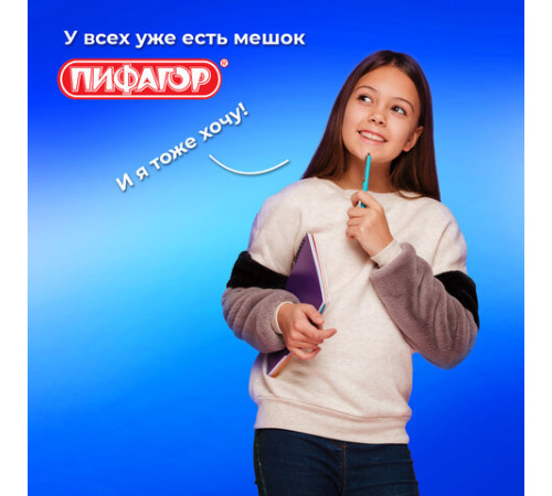 Мешок для обуви ПИФАГОР, 1 отделение, 42х34 см, 