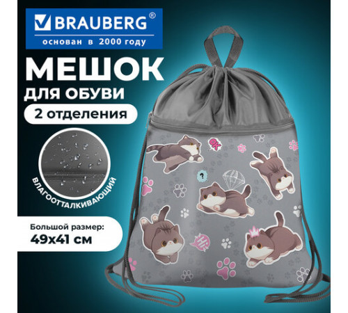 Мешок для обуви BRAUBERG БОЛЬШОЙ, с ручкой, карман на молнии, сетка, 49х41 см, 