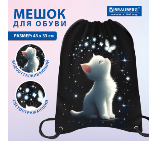 Мешок для обуви BRAUBERG PREMIUM, карман, подкладка, светоотражайка, 43х33 см, 