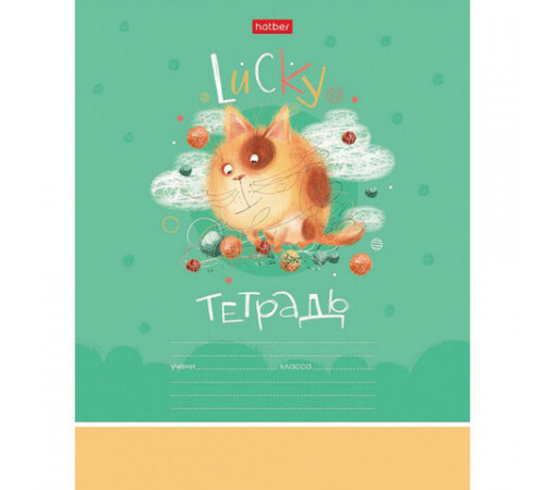 Тетрадь 12 л. HATBER клетка, обложка картон, 