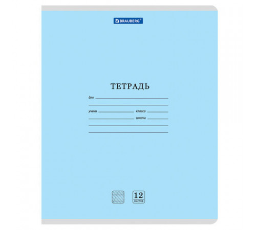 Тетради ДЭК 12 л. КОМПЛЕКТ 10 шт. BRAUBERG КЛАССИКА NEW, частая косая линия, обложка картон, АССОРТИ, 107056