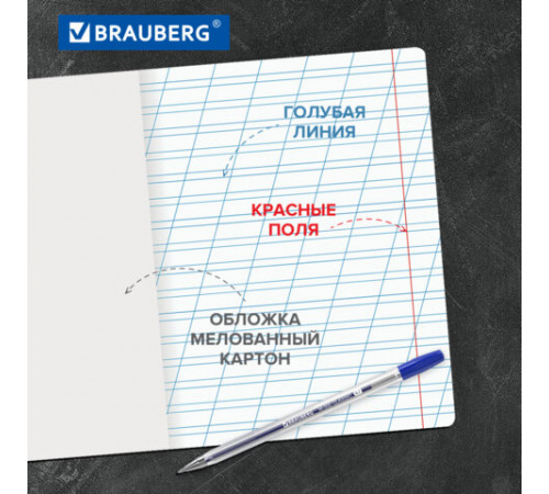 Тетради ДЭК 12 л. КОМПЛЕКТ 20 шт. BRAUBERG КЛАССИКА, косая линия, обложка картон, АССОРТИ, 107072