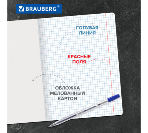 Тетради ДЭК 18 л., КОМПЛЕКТ 10 шт., BRAUBERG 
