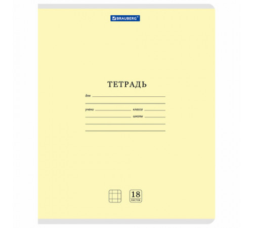 Тетради ДЭК 18 л., КОМПЛЕКТ 10 шт., BRAUBERG 