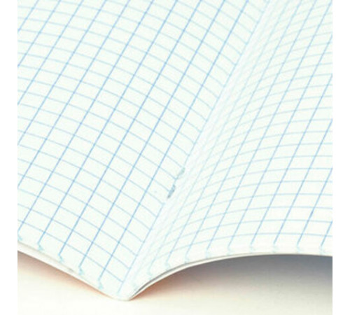 Тетради ДЭК 18 л., КОМПЛЕКТ 10 шт., BRAUBERG 