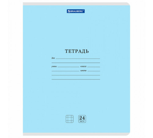 Тетради ДЭК 24 л., КОМПЛЕКТ 10 шт. BRAUBERG 