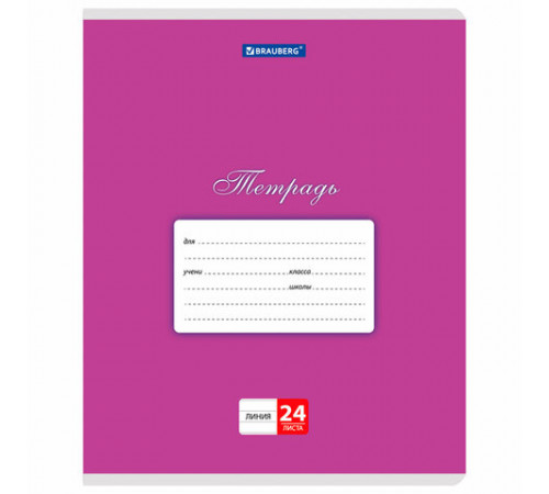 Тетради ДЭК 24 л., КОМПЛЕКТ 10 шт., BRAUBERG 