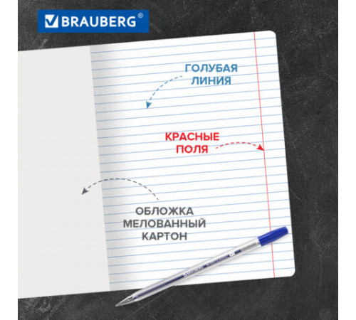Тетради ДЭК 24 л., КОМПЛЕКТ 10 шт., BRAUBERG 