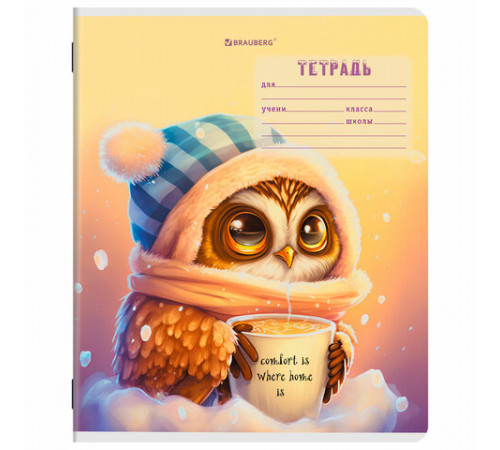 Тетрадь 12 л. BRAUBERG клетка, обложка картон, МИКС-2, 107269