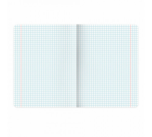 Тетрадь 12 л. BRAUBERG клетка, обложка картон, МИКС-4, 107276
