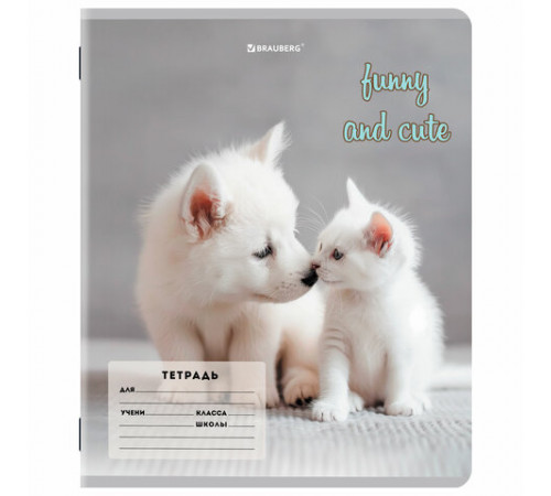 Тетрадь 12 л. BRAUBERG косая линия, обложка картон, CATS AND DOGS, 107288