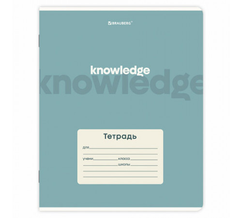 Тетради ДЭК 12 л., КОМПЛЕКТ 10 шт., BRAUBERG, косая линия, обложка картон, 