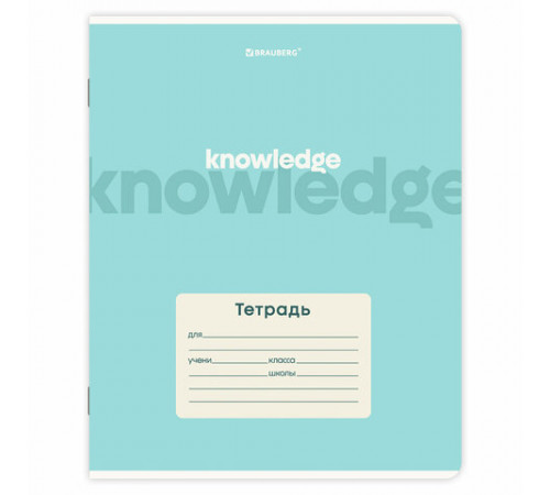 Тетради ДЭК 18 л. КОМПЛЕКТ 10 шт. BRAUBERG, клетка, обложка картон, 