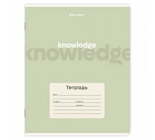 Тетради ДЭК 18 л. КОМПЛЕКТ 10 шт. BRAUBERG, линия, обложка картон, 