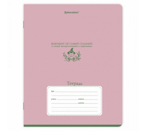 Тетради ДЭК 24 л. КОМПЛЕКТ 10 шт. BRAUBERG, клетка, обложка картон, 