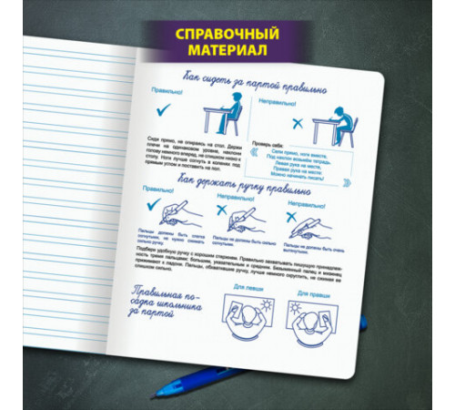 Тетради ДЭК 12 л. КОМПЛЕКТ 10 шт. ПРОПИСЬ № 5 узкая линия, со справкой, ЮНЛАНДИЯ, 404856