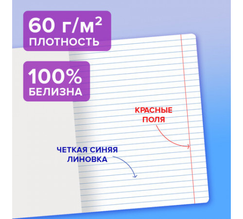 Тетрадь пластиковая обложка (прозрачная) 24 листа, линия, BRAUBERG 