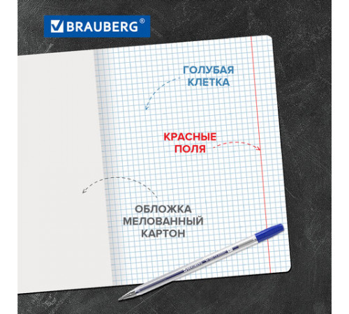 Тетради ДЭК 12 л. КОМПЛЕКТ 20 шт. BRAUBERG КЛАССИКА NEW, клетка, обложка картон, АССОРТИ (5 видов), 880046