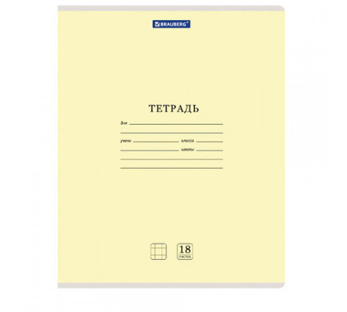 Тетради ДЭК 18 л. КОМПЛЕКТ 20 шт. BRAUBERG 