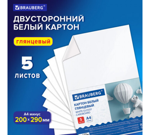 Картон белый А4 МЕЛОВАННЫЙ (белый оборот) 5 листов, BRAUBERG, 200х290 мм, 116626