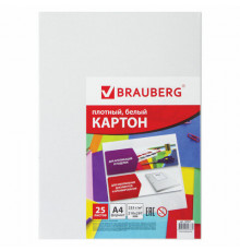 Картон белый А4 МЕЛОВАННЫЙ (белый оборот), 25 листов, BRAUBERG, 210х297 мм, 124021