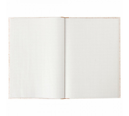 Книга учета 96 л., клетка, твердая, крафт, типографский блок, А4 200х290 мм, STAFF, 126500