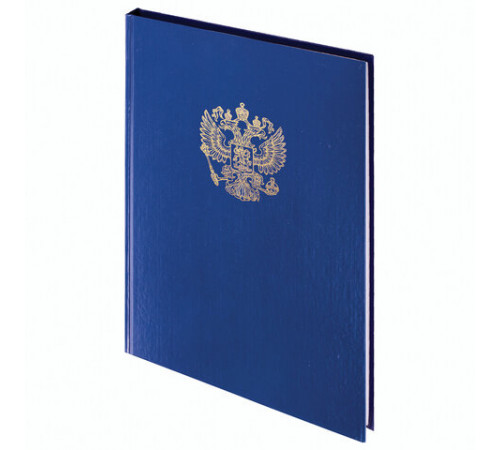 Книга учета 96 л., клетка, твердая, бумвинил, офсет, герб, А4 (200х290 мм), BRAUBERG, синяя, 130141