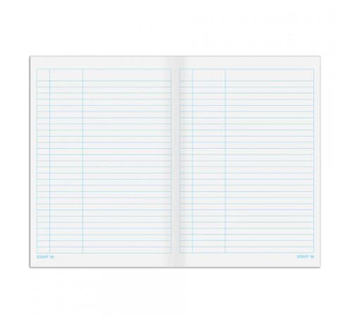 Книга учета 48 л., пустографка, обложка из мелованного картона, блок офсет, А4 200х290 мм, STAFF, 130212