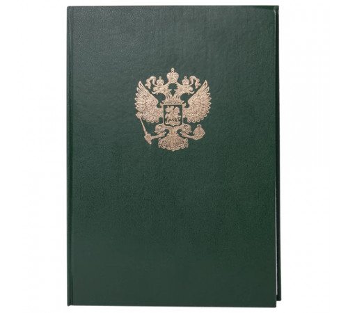 Книга учета 96 л., клетка, твердая, бумвинил, офсет, герб, А4 (200х290 мм), BRAUBERG, зеленая, 130277