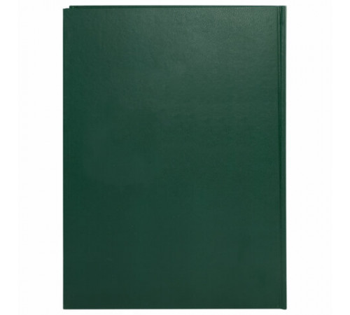 Книга учета 96 л., клетка, твердая, бумвинил, офсет, герб, А4 (200х290 мм), BRAUBERG, зеленая, 130277