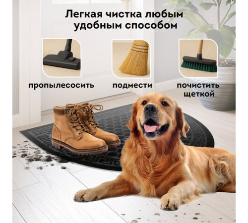 Коврик придверный 60х90 см, ЧЕРНЫЙ, грязезащитный, 430 г/м2, ПОЛУКРУГ, фактурный рисунок ЧЕШУЙКИ, ЛЮБАША, 701051