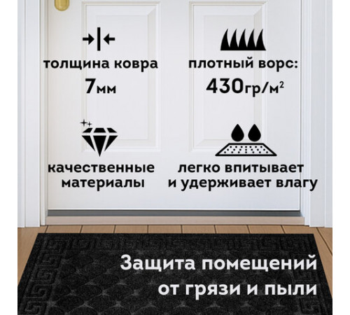 Коврик придверный 40х60 см, ЧЕРНЫЙ, грязезащитный, 430 г/м2, фактурный рисунок ЧЕШУЙКИ, ЛЮБАША, 701057