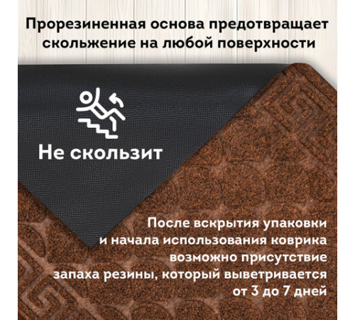Коврик придверный 40х60 см, ВЕНГЕ, грязезащитный, 430 г/м2, фактурный рисунок ЧЕШУЙКИ, ЛЮБАША, 701059