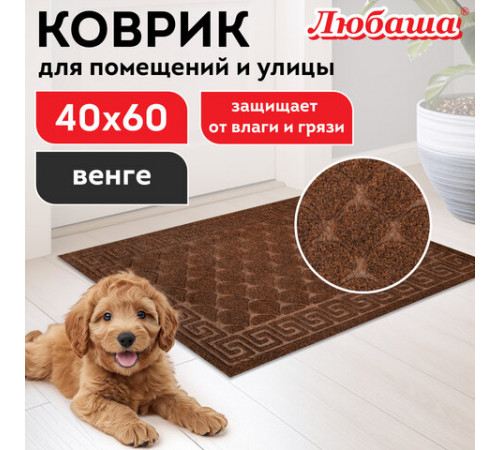 Коврик придверный 40х60 см, ВЕНГЕ, грязезащитный, 430 г/м2, фактурный рисунок ЧЕШУЙКИ, ЛЮБАША, 701059