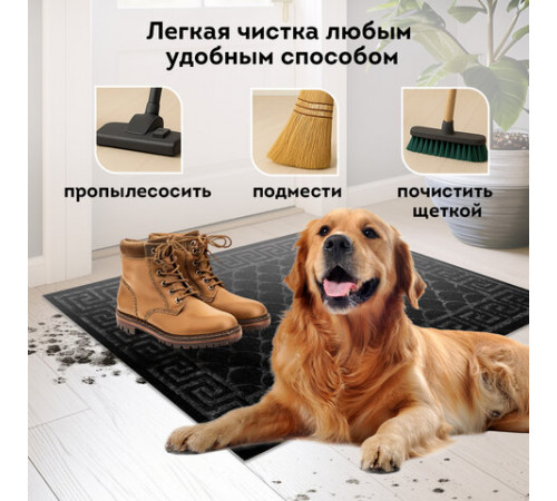 Коврик придверный 60х90 см, ЧЕРНЫЙ, грязезащитный, 430 г/м2, фактурный рисунок ЧЕШУЙКИ, ЛЮБАША, 701060