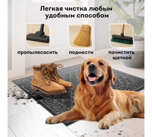 Коврик придверный 60х90 см, СЕРЫЙ, грязезащитный, 430 г/м2, фактурный рисунок ЧЕШУЙКИ, ЛЮБАША, 701061