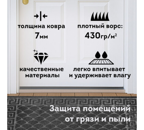 Коврик придверный 60х90 см, СЕРЫЙ, грязезащитный, 430 г/м2, фактурный рисунок ЧЕШУЙКИ, ЛЮБАША, 701061
