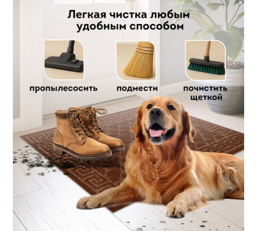 Коврик придверный 60х90 см, ВЕНГЕ, грязезащитный, 430 г/м2, фактурный рисунок ЧЕШУЙКИ, ЛЮБАША, 701062