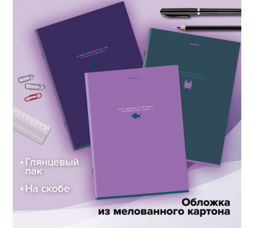 Тетради ДЭК А4 96 л. КОМПЛЕКТ 3 шт. BRAUBERG скоба, клетка, глянцевый лак, 