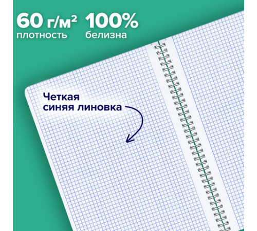 Тетради ДЭК А4 96 л. КОМПЛЕКТ 2 шт. BRAUBERG гребень, клетка, TWIN-лак, 